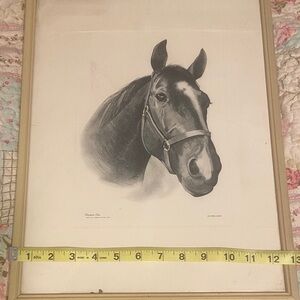 Elegant Black and White Horse Art Print